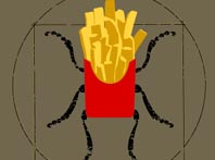 Bibitte &agrave; patate
